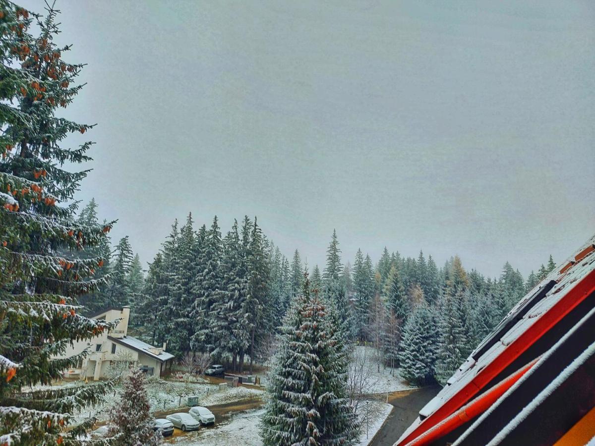 Vila Simonte Poiana Brasov Hotel Екстериор снимка