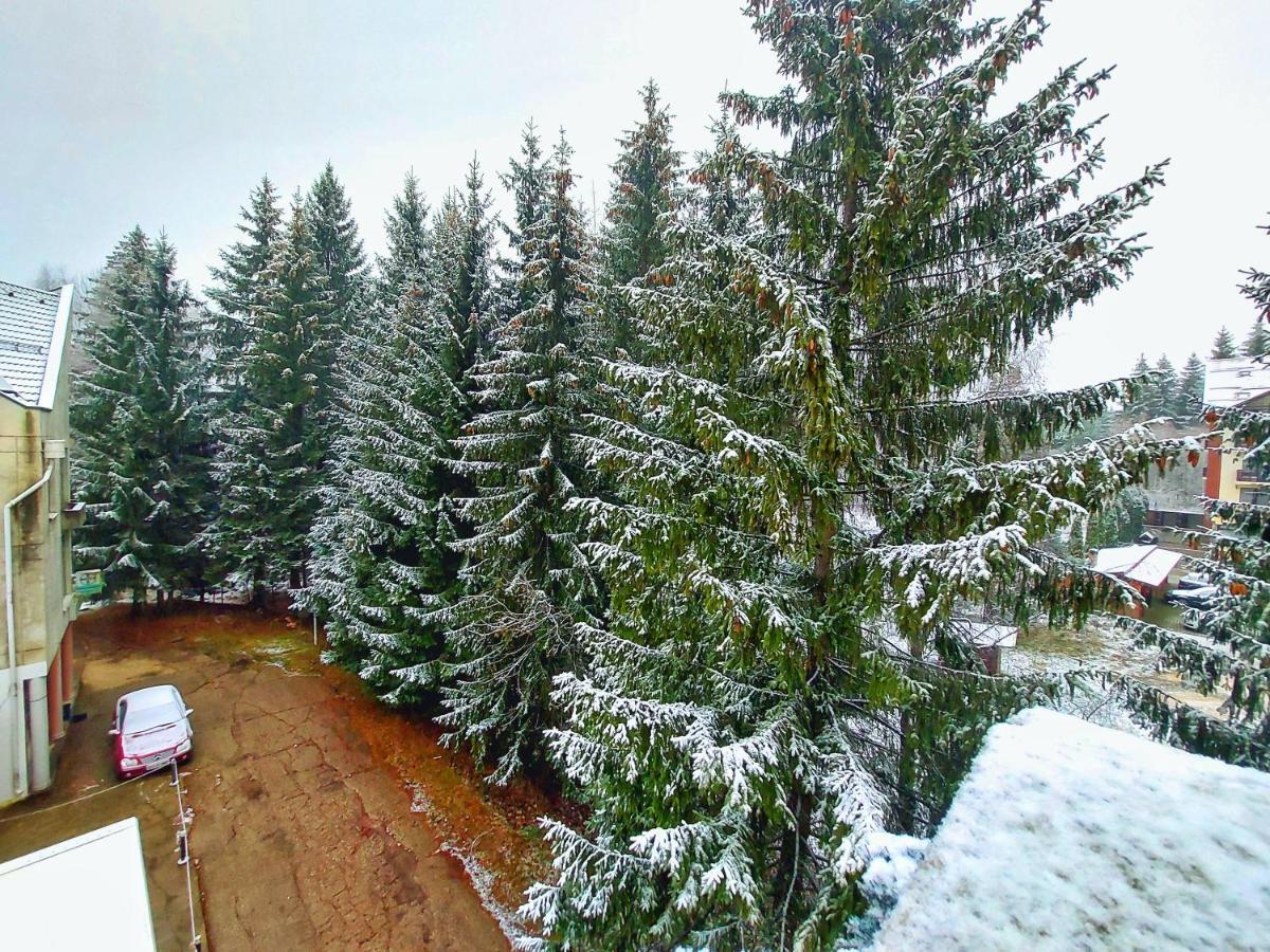 Vila Simonte Poiana Brasov Hotel Екстериор снимка