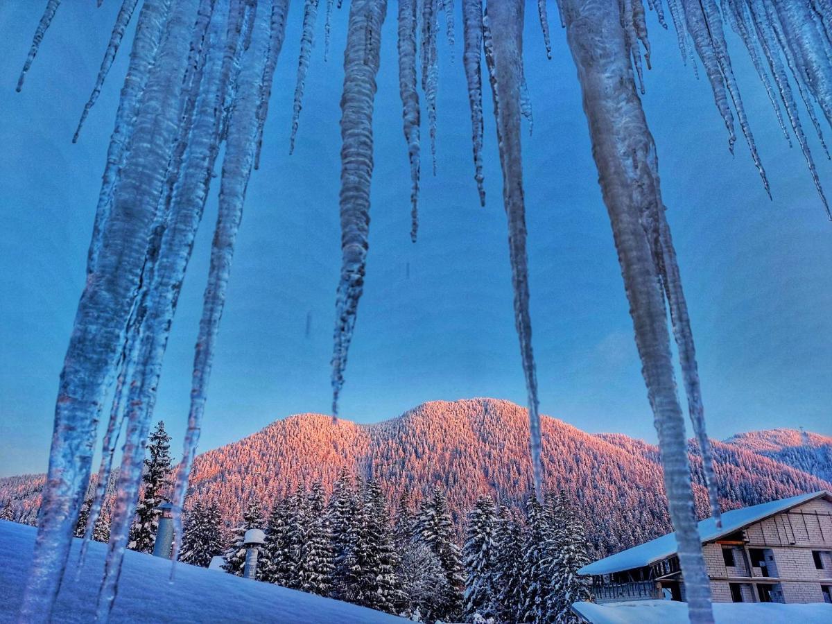 Vila Simonte Poiana Brasov Hotel Екстериор снимка