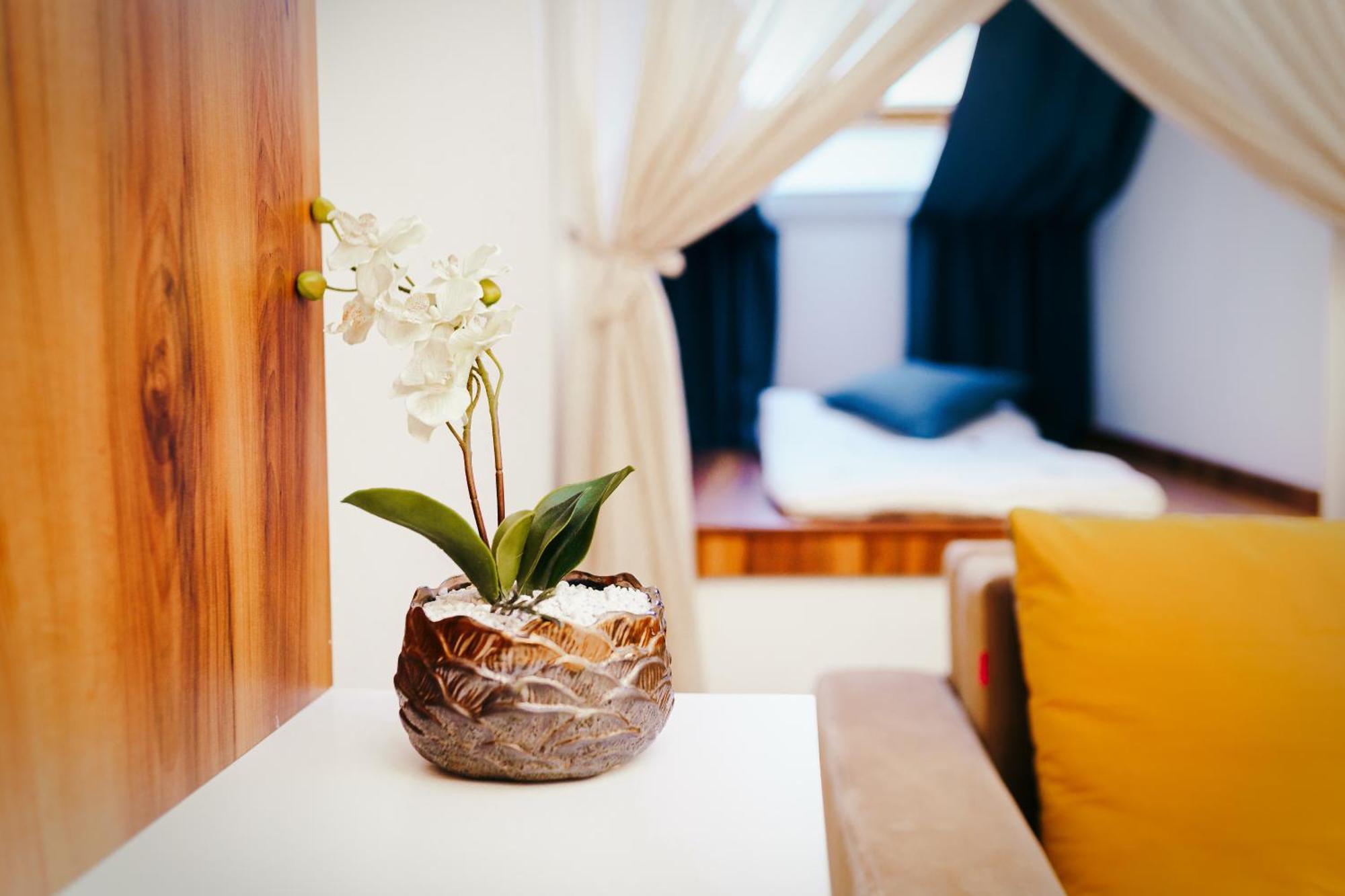 Vila Simonte Poiana Brasov Hotel Екстериор снимка